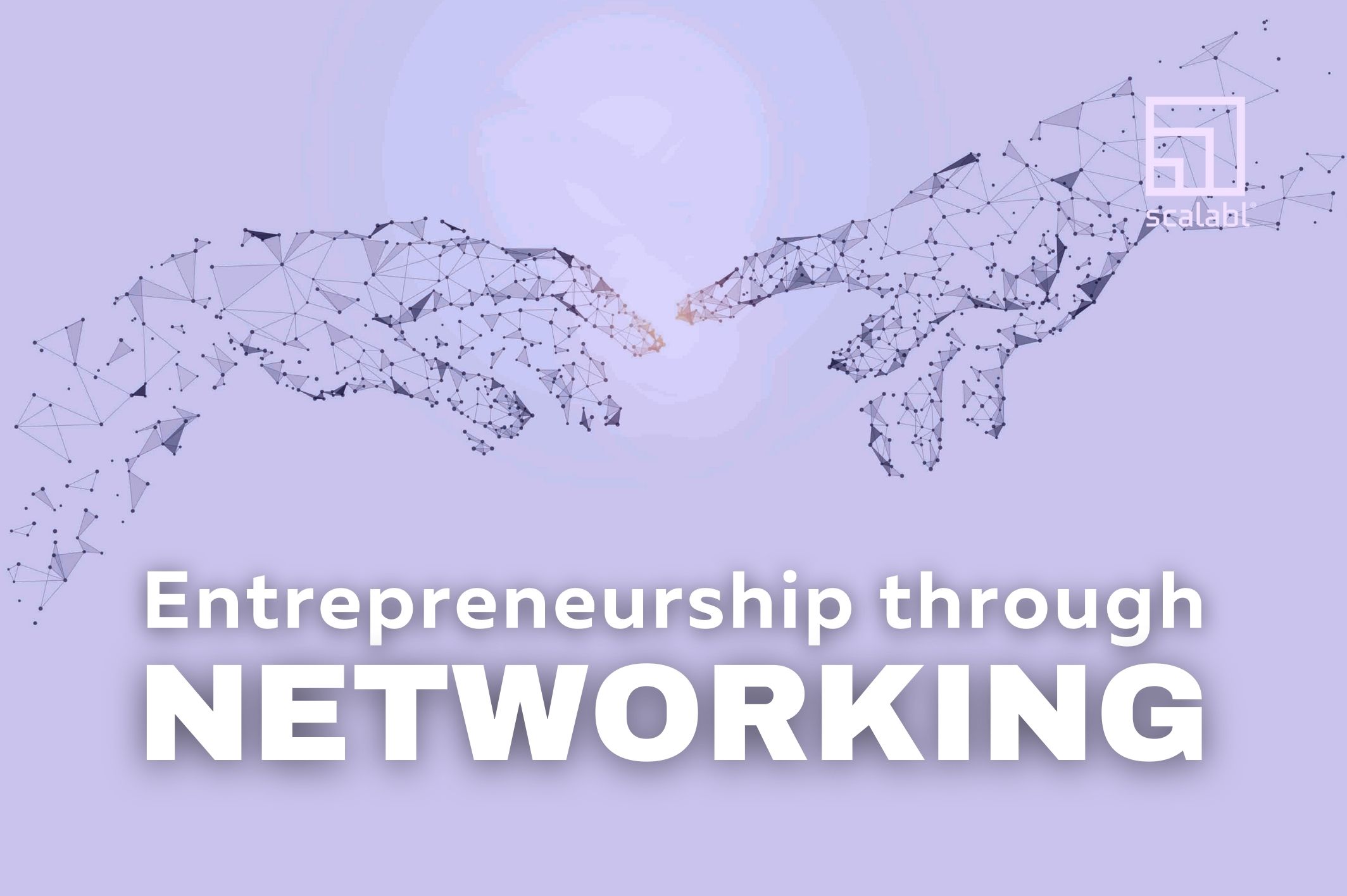 Libro 'Emprender a través del networking'