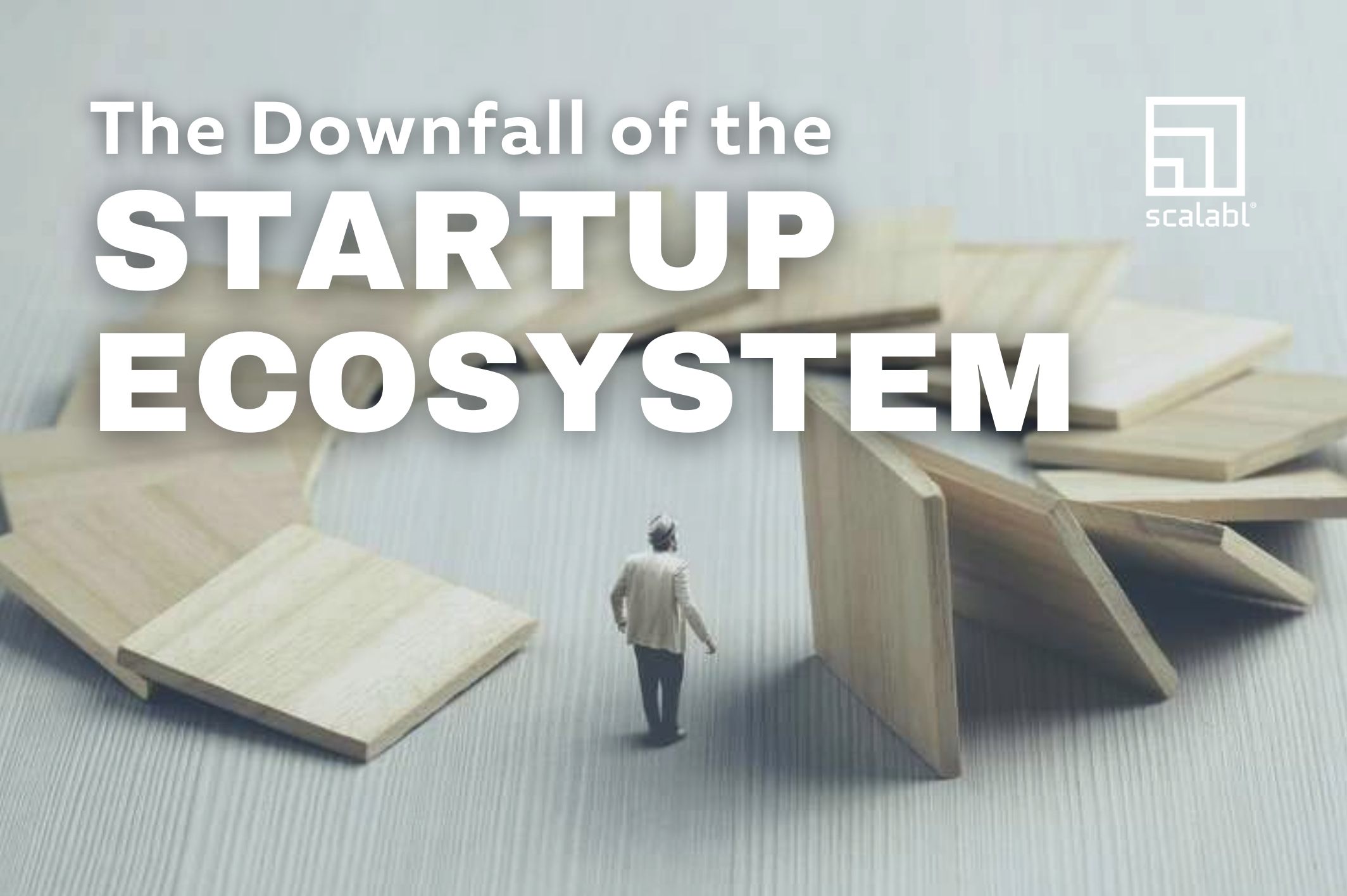 The Downfall of the Startup Ecosystem